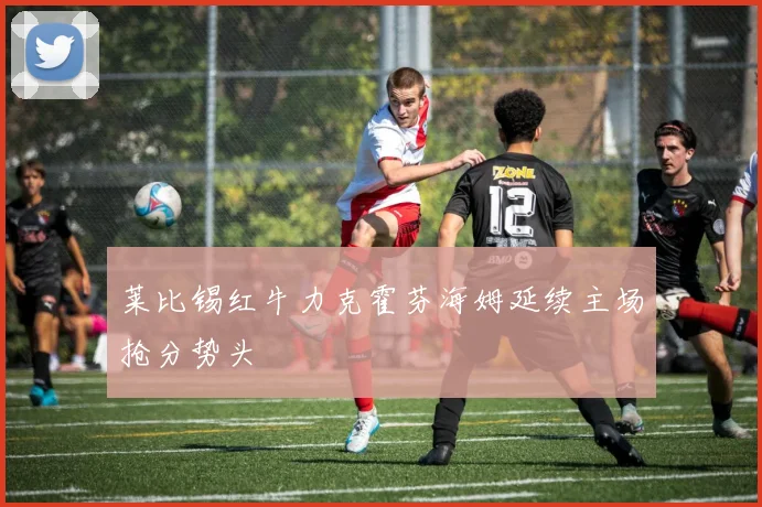 莱比锡红牛力克霍芬海姆延续主场抢分势头