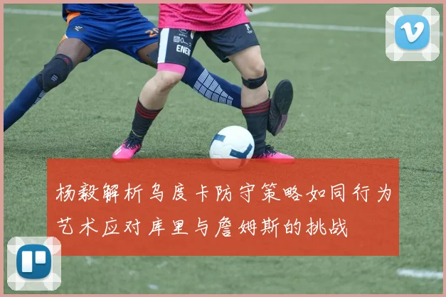 杨毅解析乌度卡防守策略如同行为艺术应对库里与詹姆斯的挑战