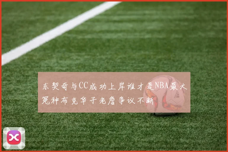 东契奇与CC成功上岸谁才是NBA最大冤种布克华子老詹争议不断